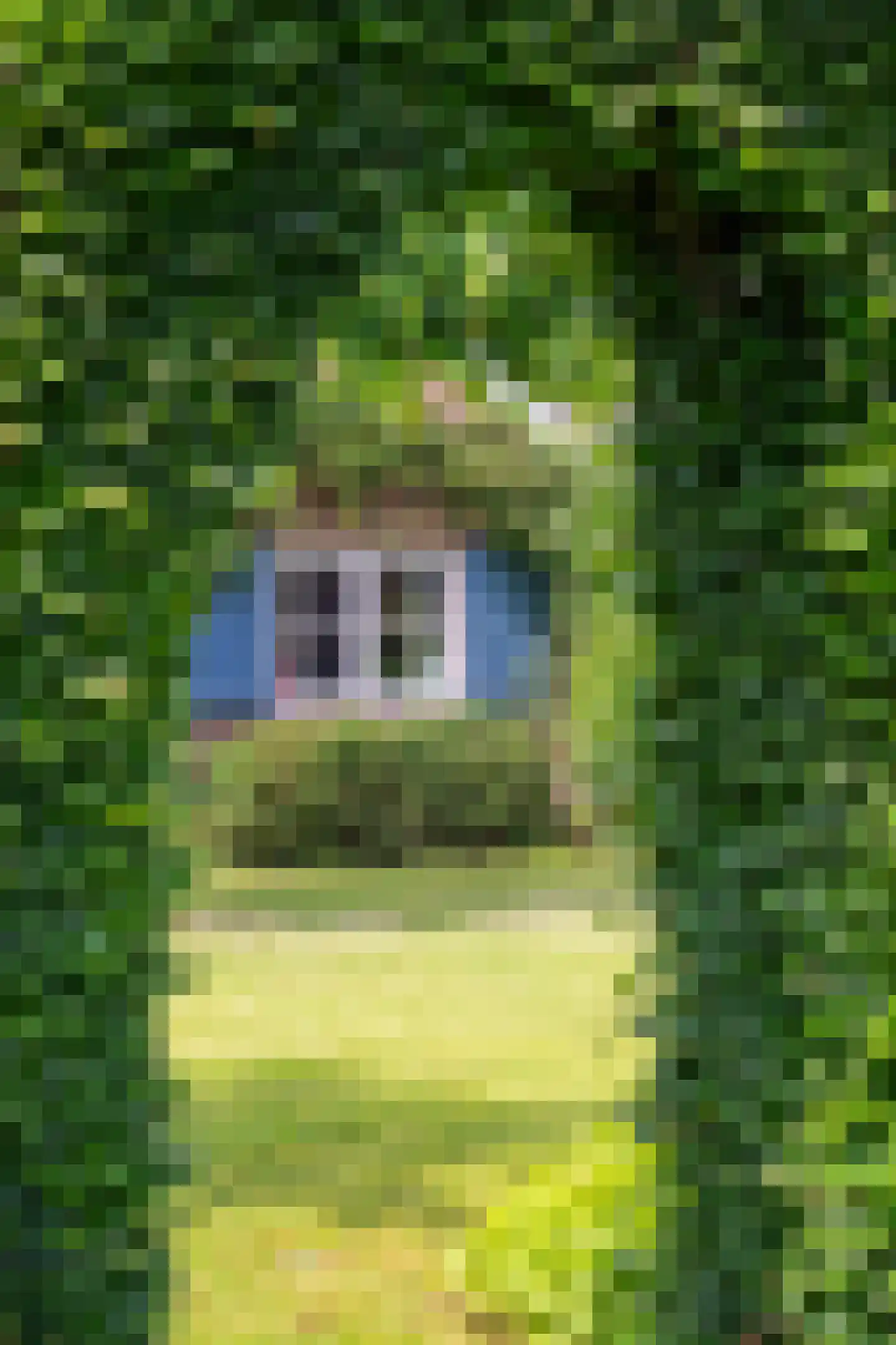 Mettrayweg 65 Eefde thumbnail 63