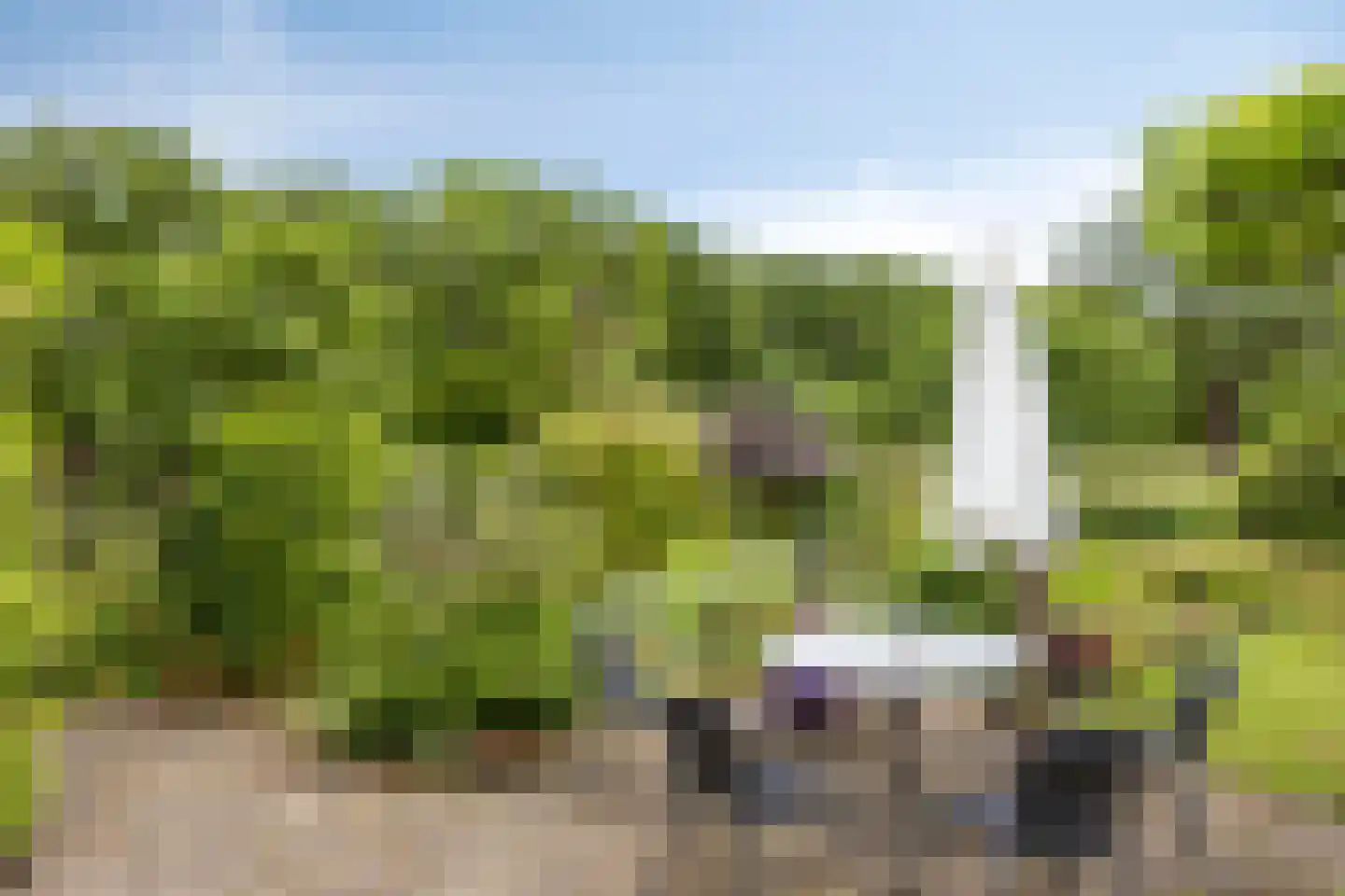 Mettrayweg 65 Eefde thumbnail 65