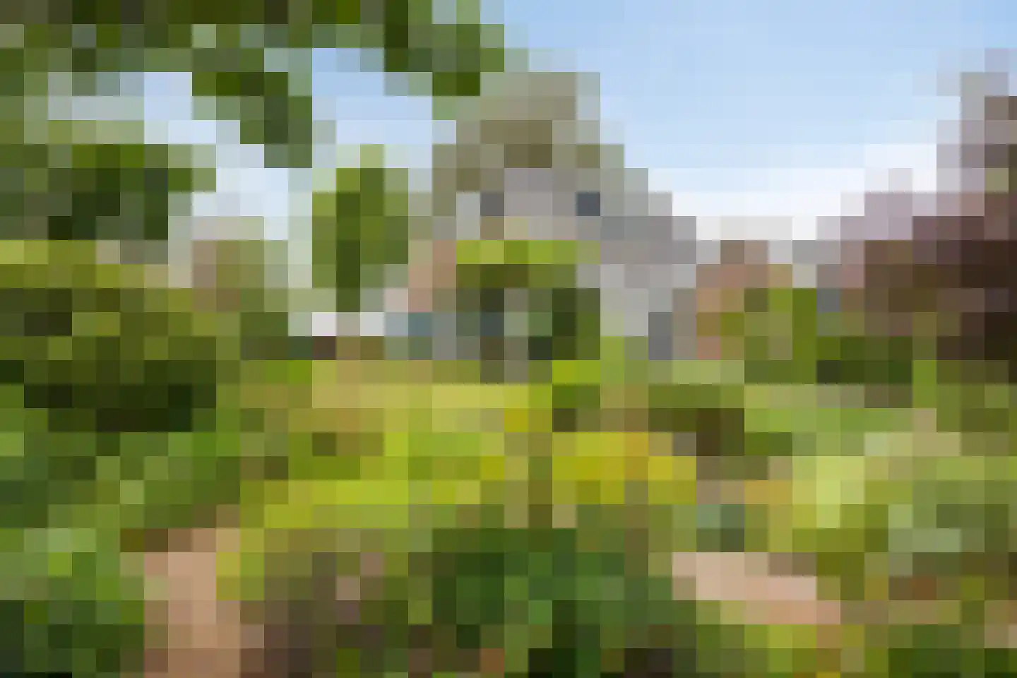 Mettrayweg 65 Eefde thumbnail 66