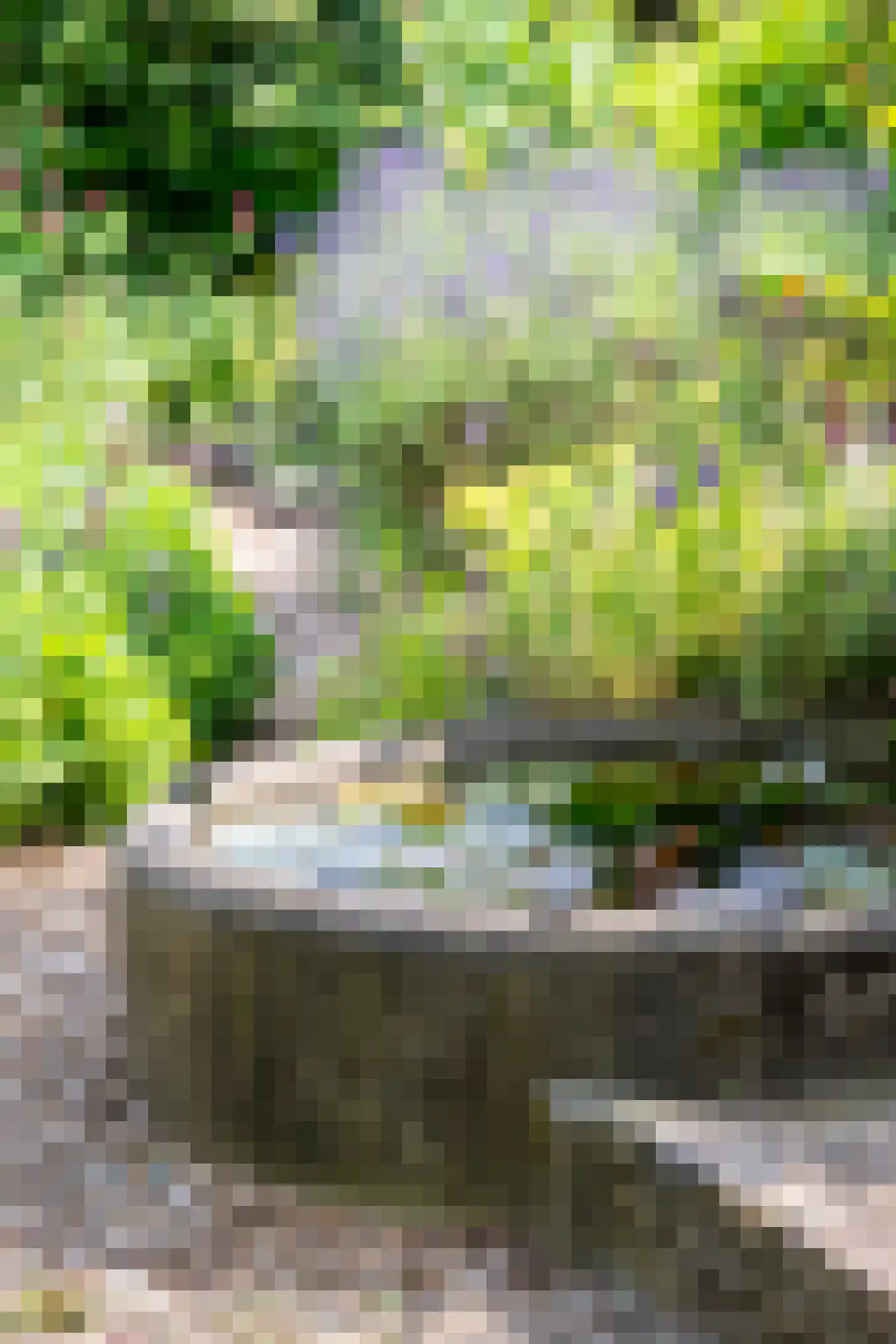Mettrayweg 65 Eefde thumbnail 69