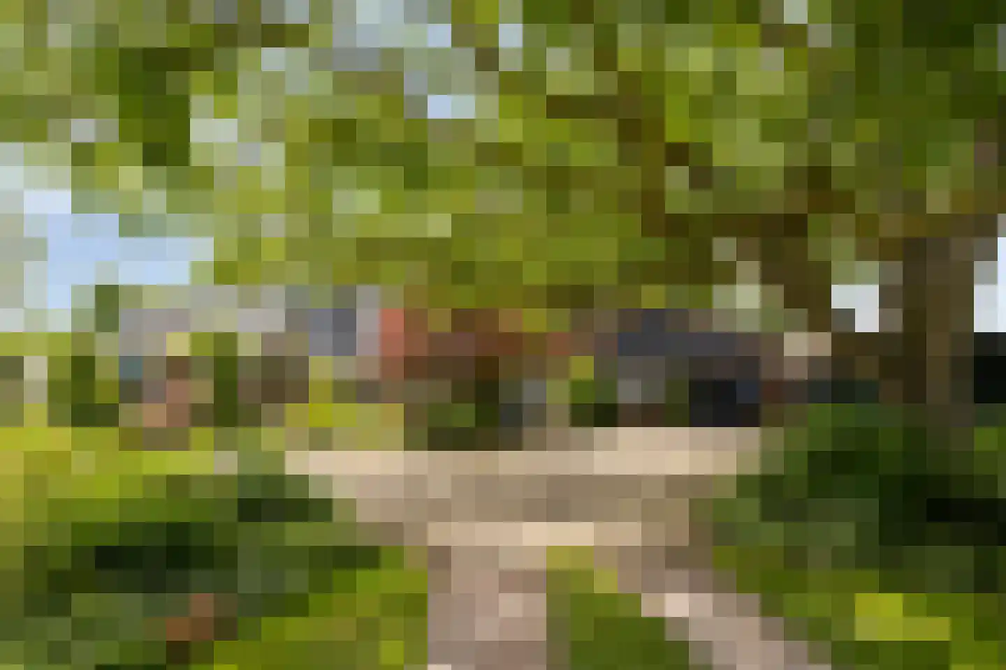 Mettrayweg 65 Eefde thumbnail 7