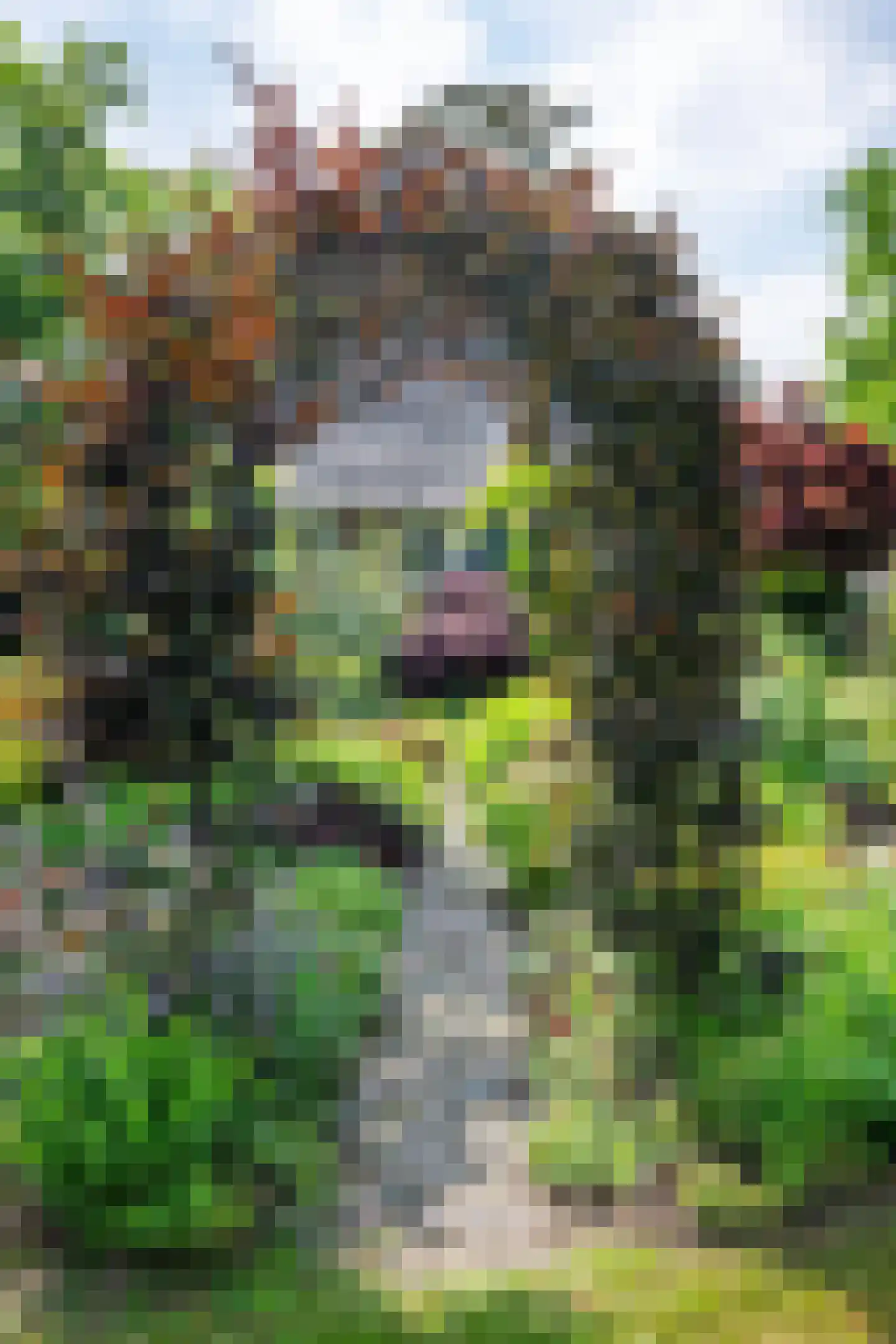 Mettrayweg 65 Eefde thumbnail 71
