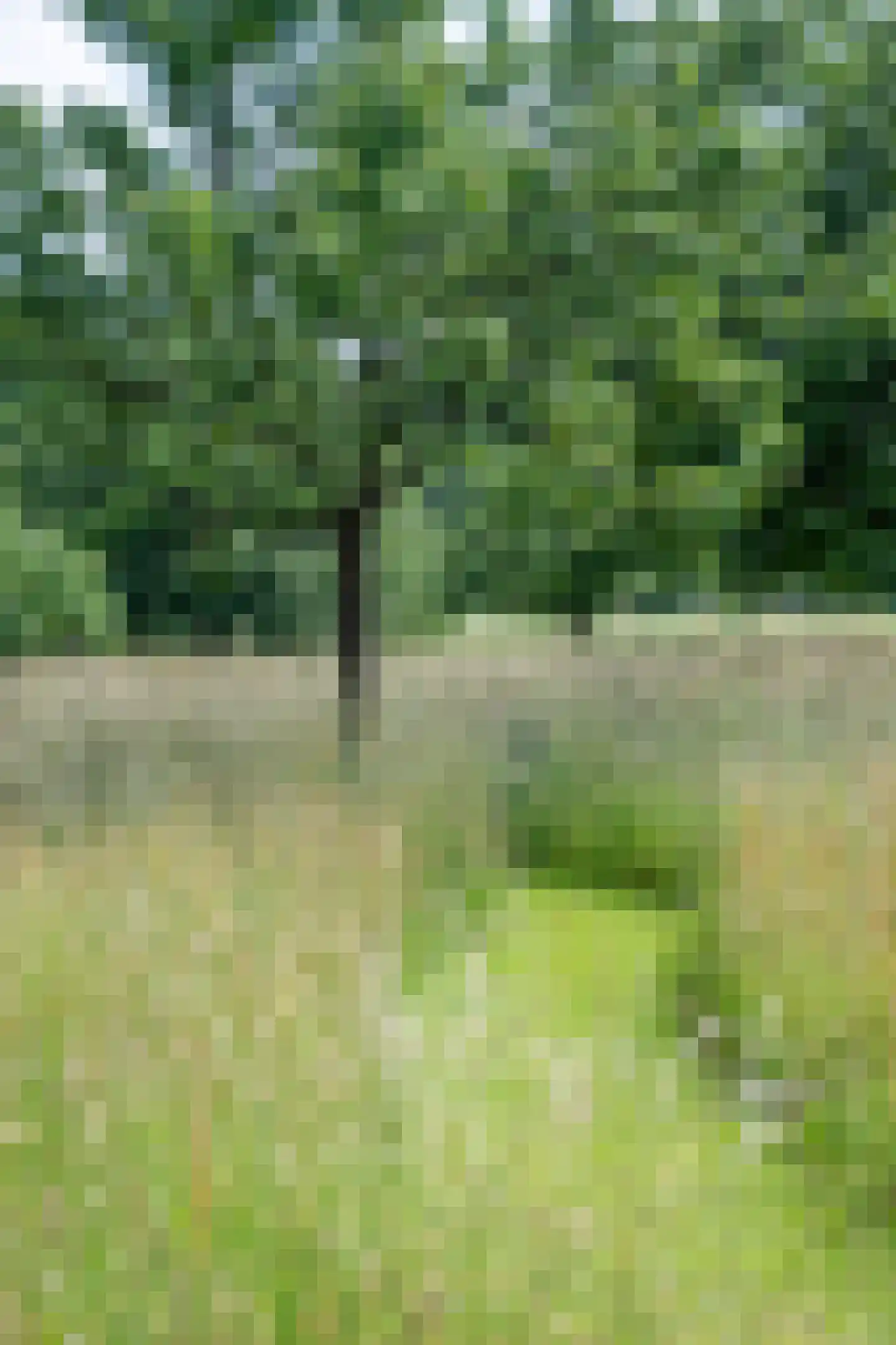 Mettrayweg 65 Eefde thumbnail 73