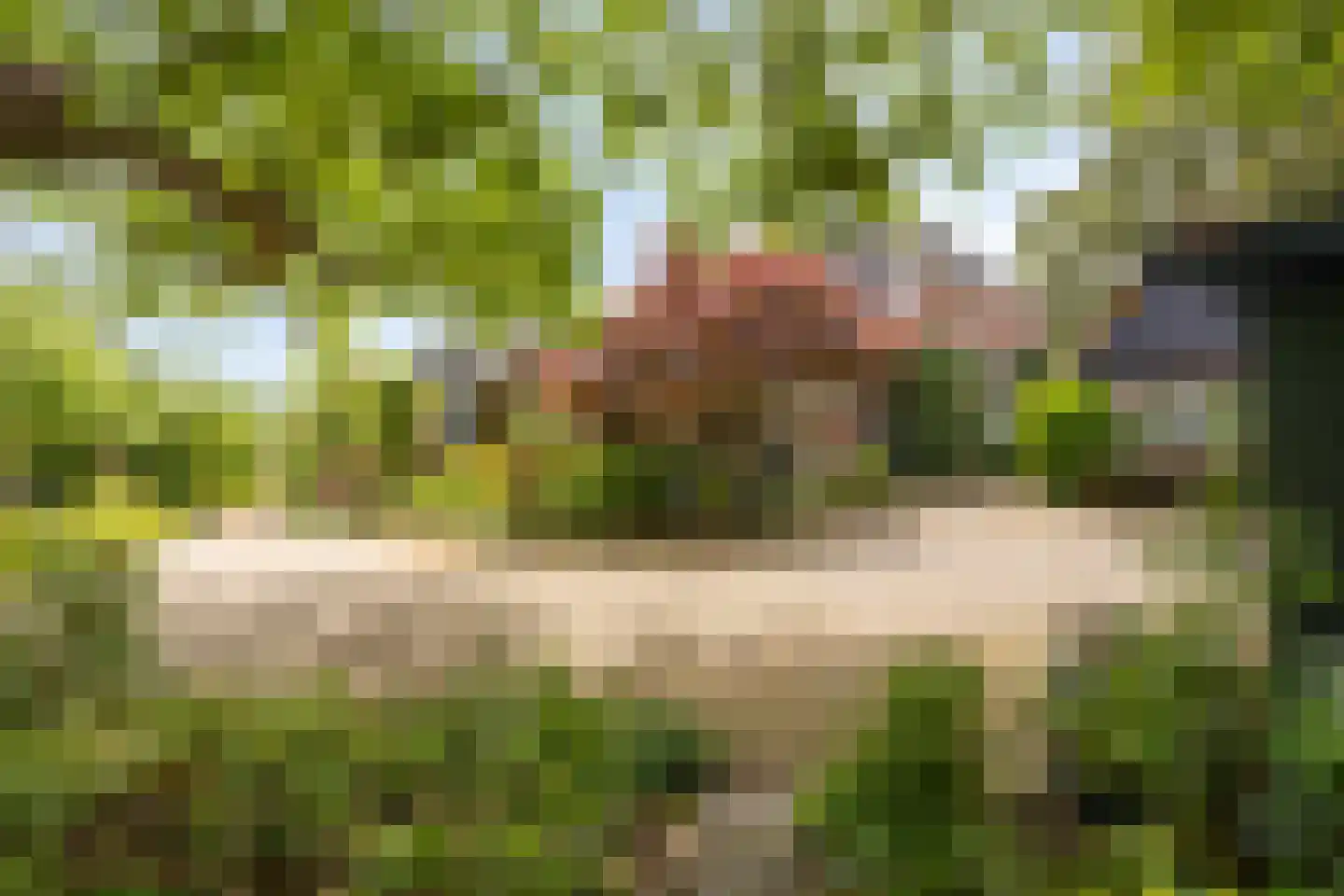 Mettrayweg 65 Eefde thumbnail 77