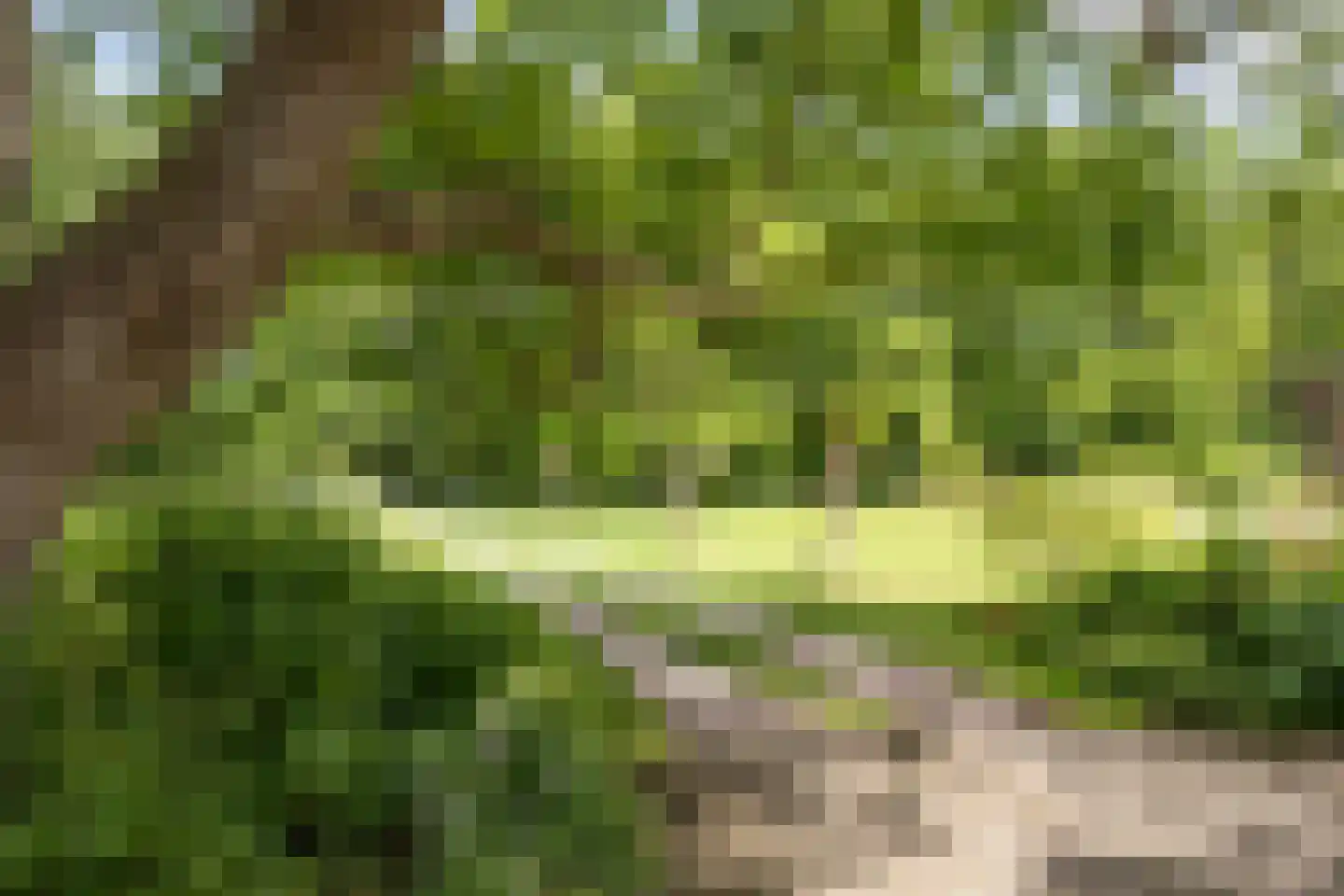 Mettrayweg 65 Eefde thumbnail 78