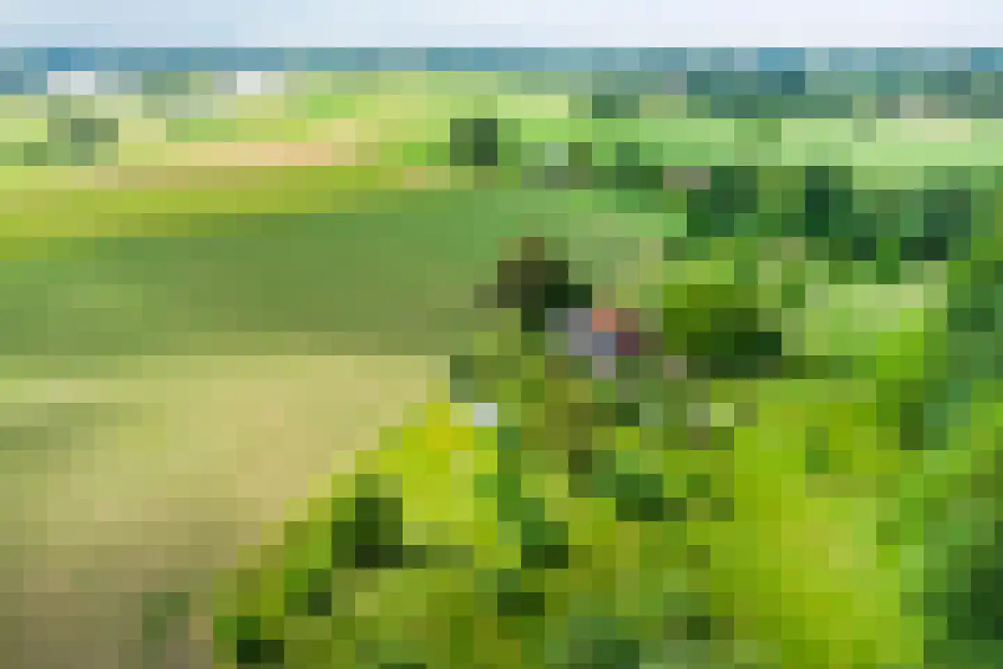 Mettrayweg 65 Eefde thumbnail 79