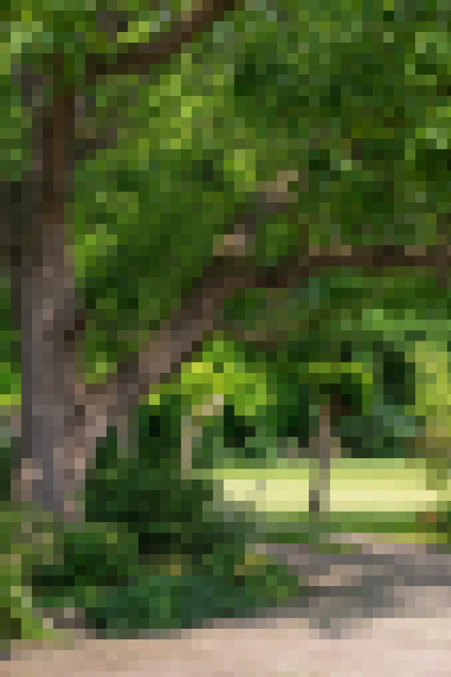 Mettrayweg 65 Eefde thumbnail 8