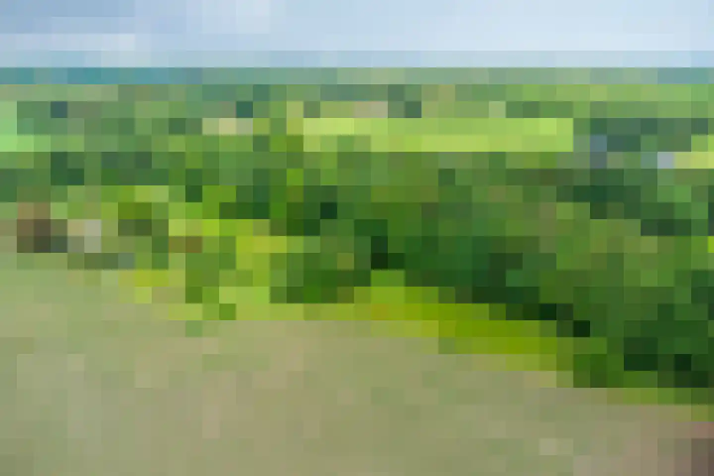 Mettrayweg 65 Eefde thumbnail 80