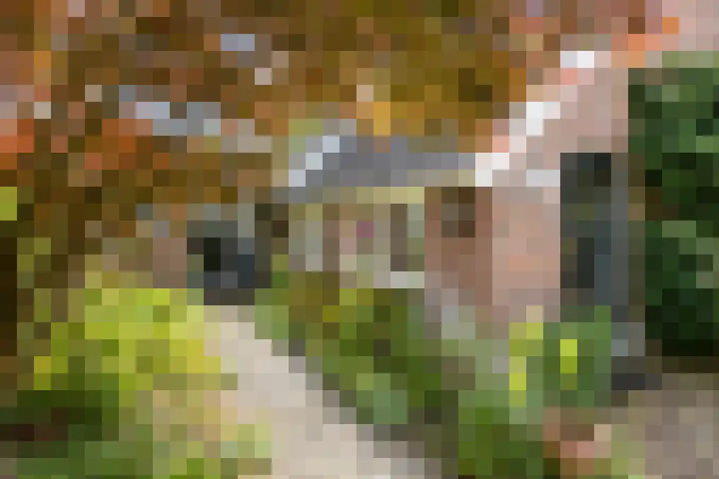Mettrayweg 65 Eefde thumbnail 9