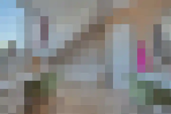 Meubelmaker 33 Zwijndrecht thumbnail 37