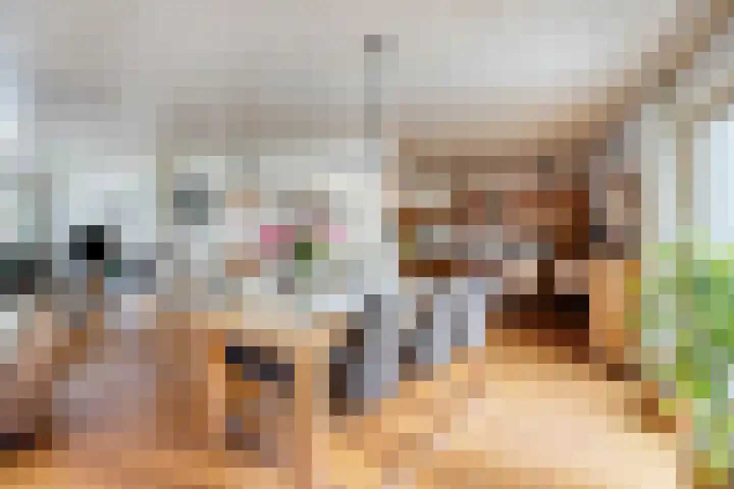 Meulakkers 11 Diever thumbnail 13