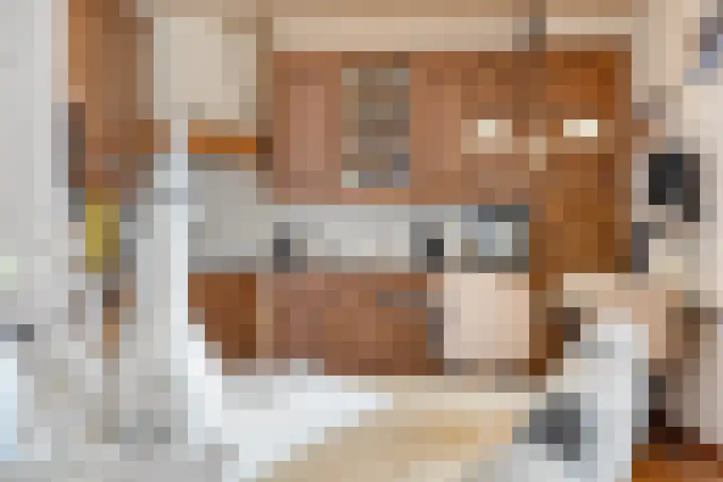 Meulakkers 11 Diever thumbnail 16