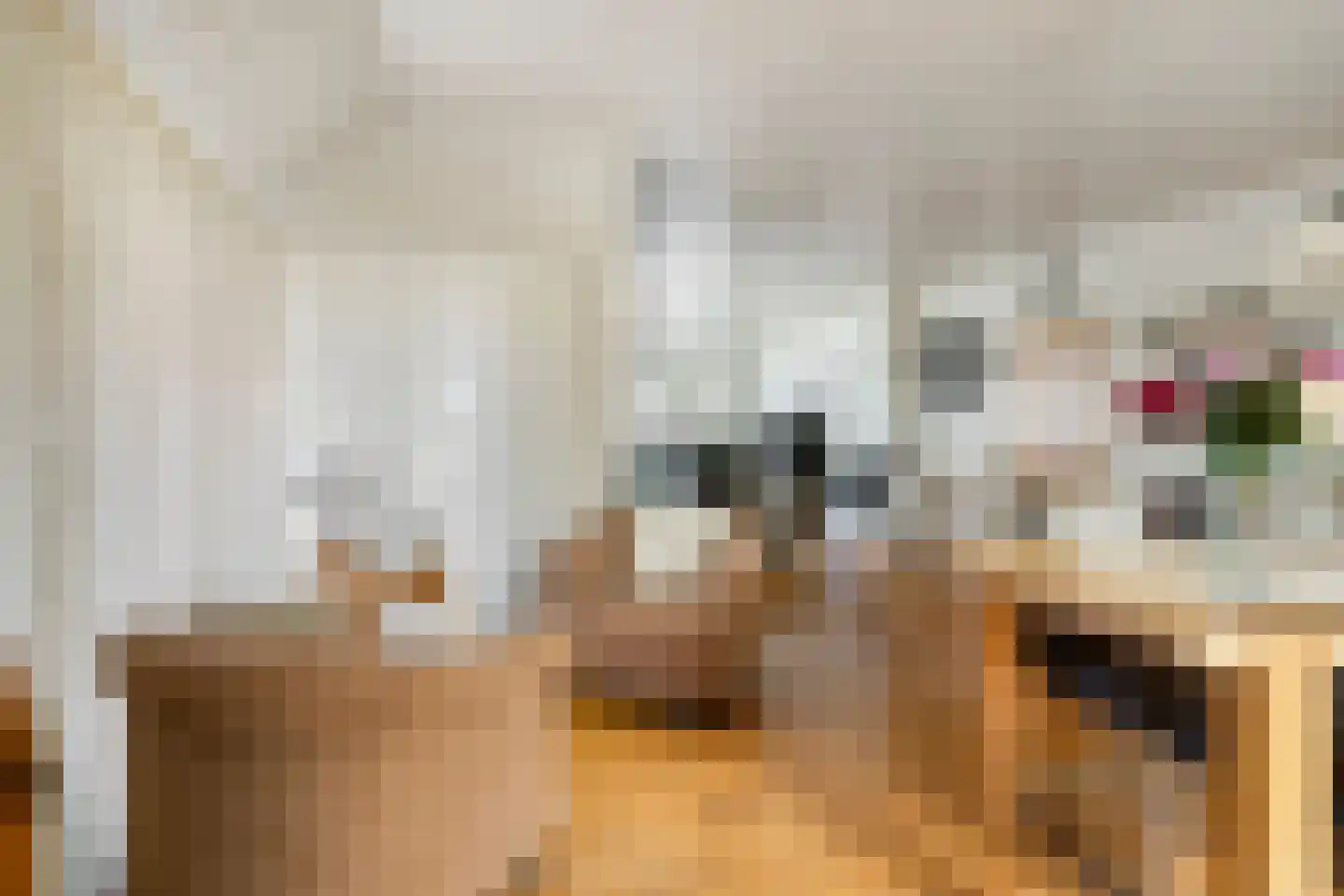 Meulakkers 11 Diever thumbnail 17