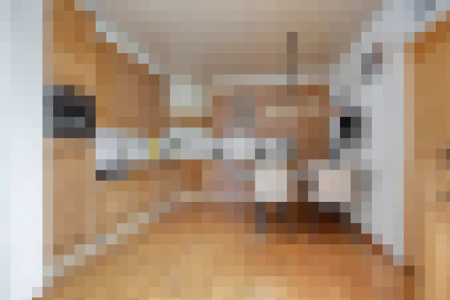 Meulakkers 11 Diever thumbnail 19