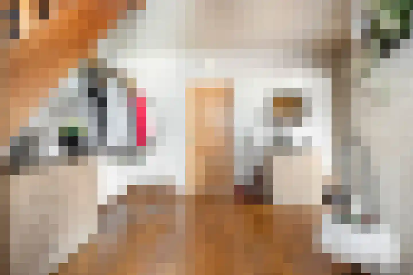 Meulakkers 11 Diever thumbnail 27