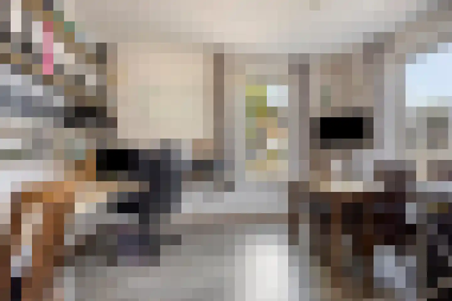 Meulakkers 11 Diever thumbnail 29