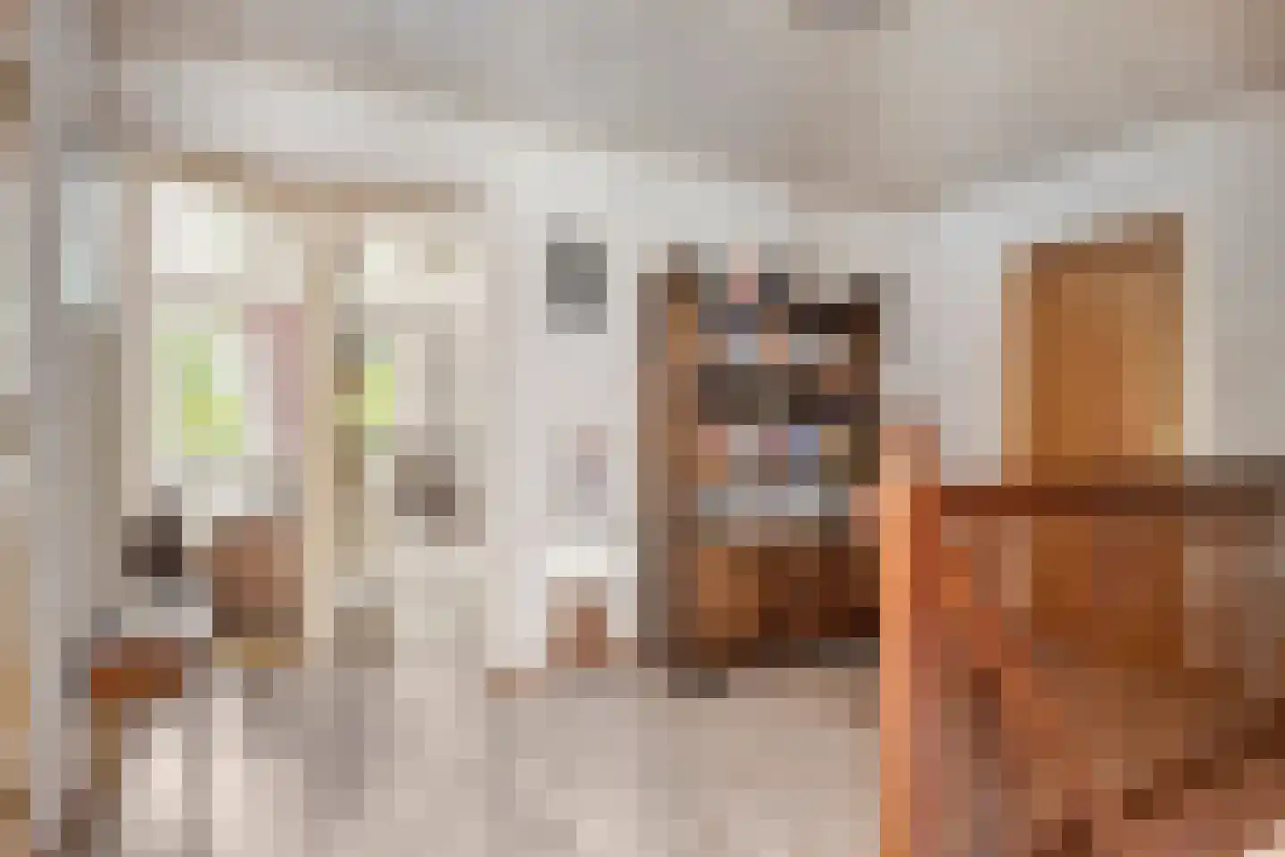 Meulakkers 11 Diever thumbnail 32