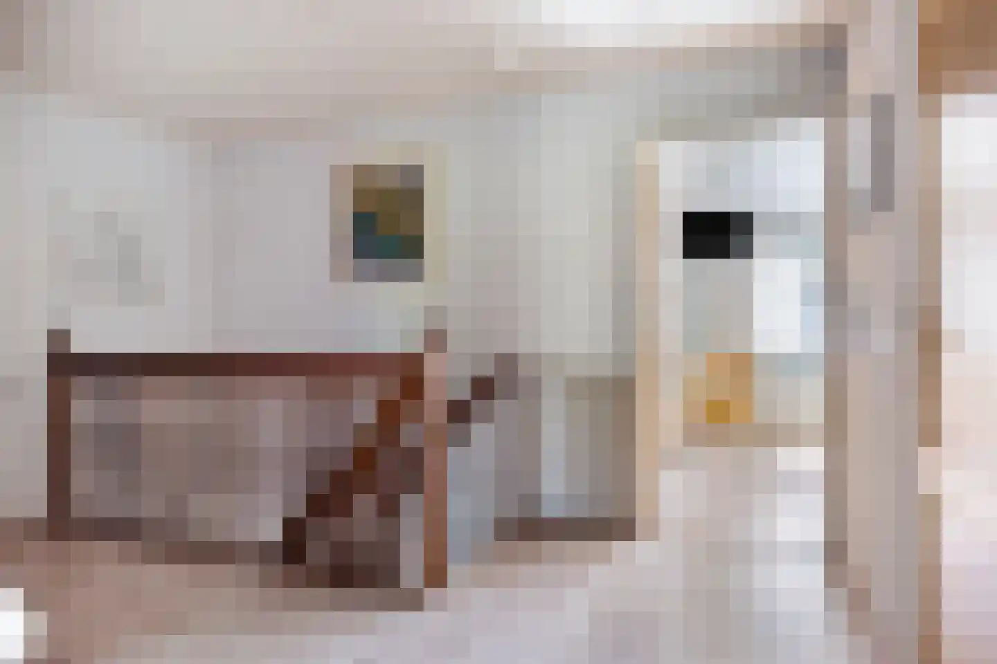 Meulakkers 11 Diever thumbnail 33