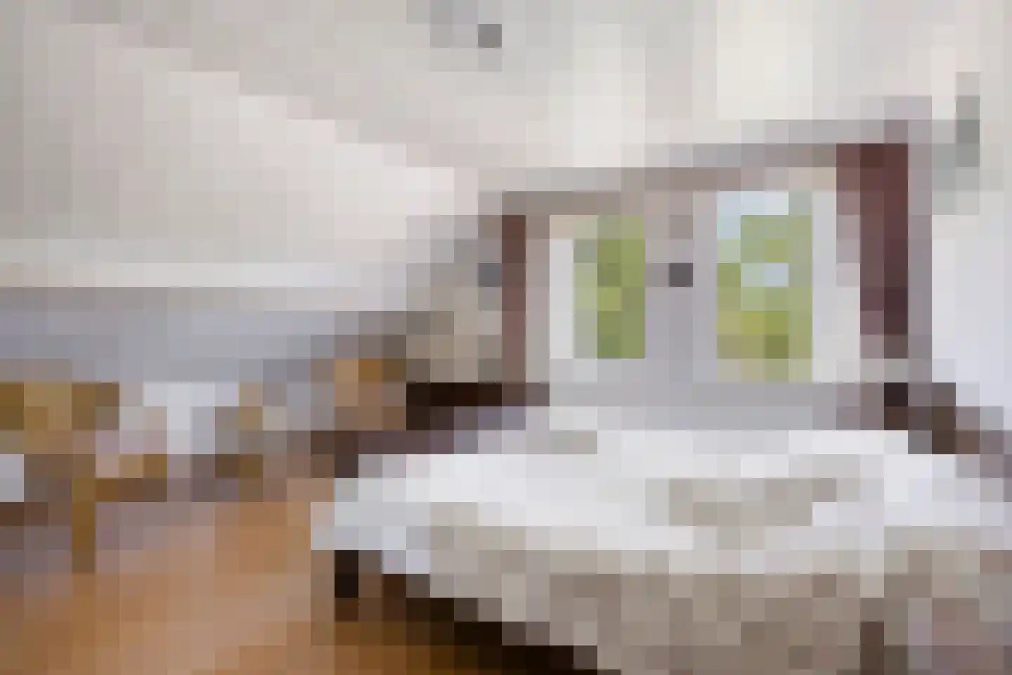 Meulakkers 11 Diever thumbnail 36