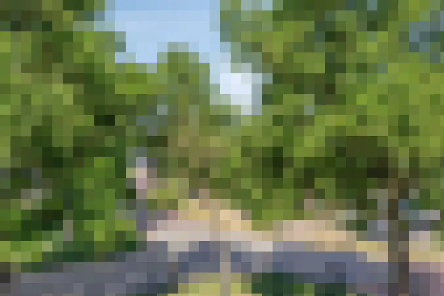 Meulakkers 11 Diever thumbnail 39