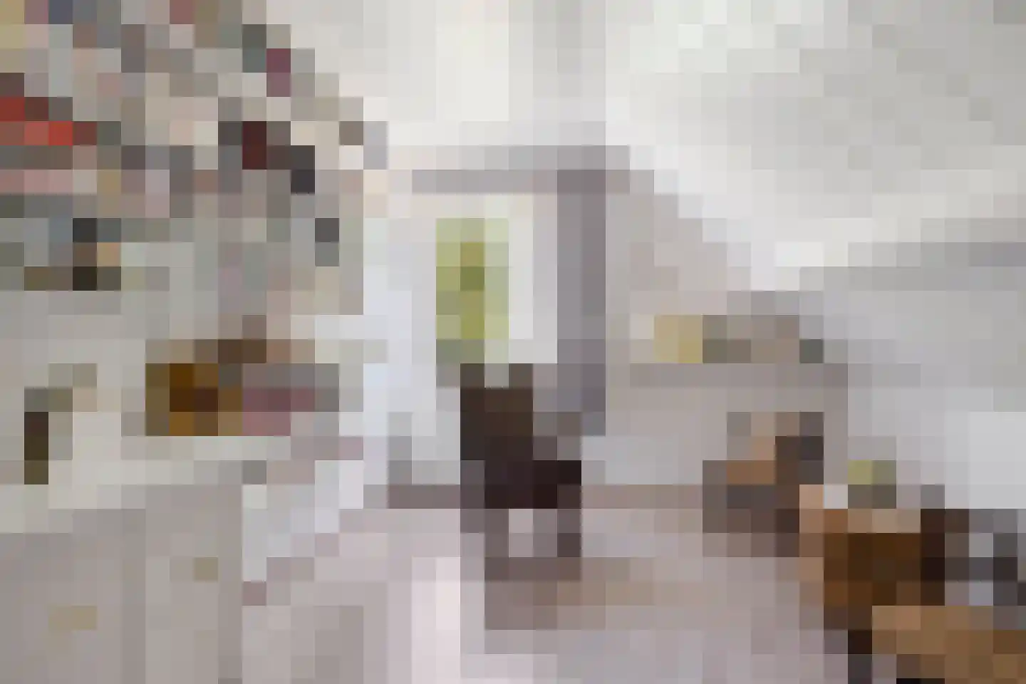 Meulakkers 11 Diever thumbnail 40