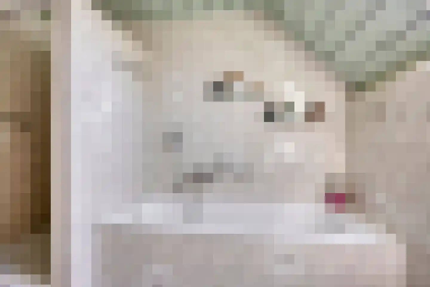 Meulakkers 11 Diever thumbnail 44