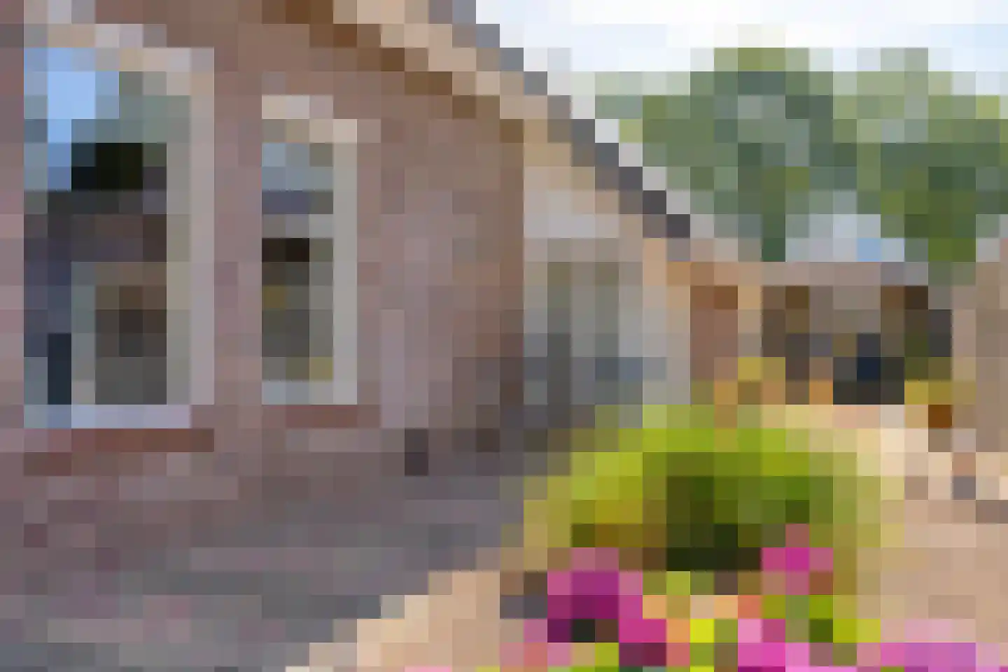 Meulakkers 11 Diever thumbnail 63