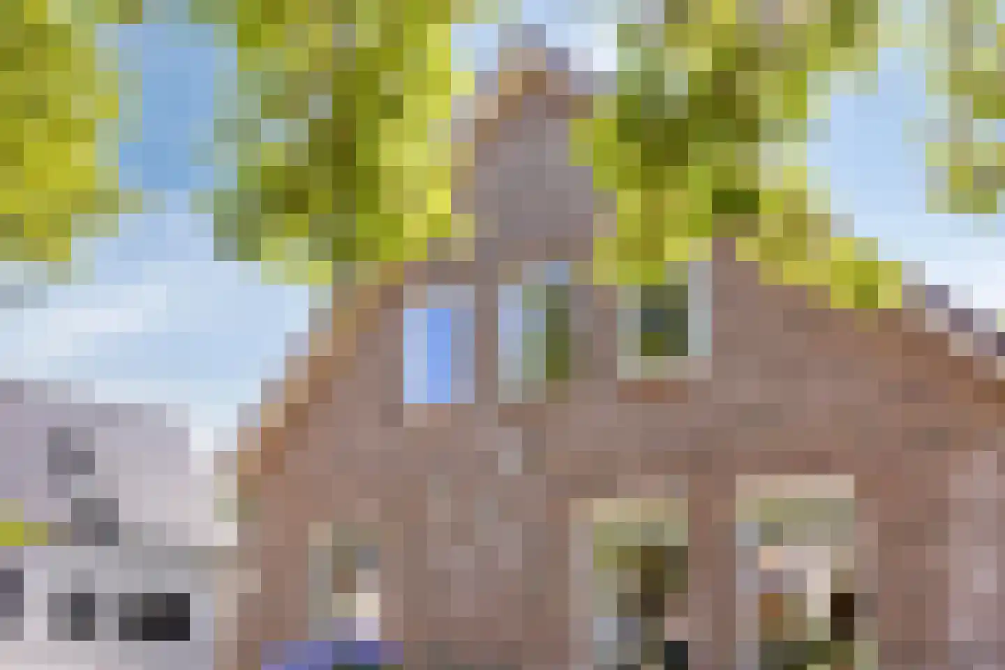 Meulakkers 11 Diever thumbnail 64