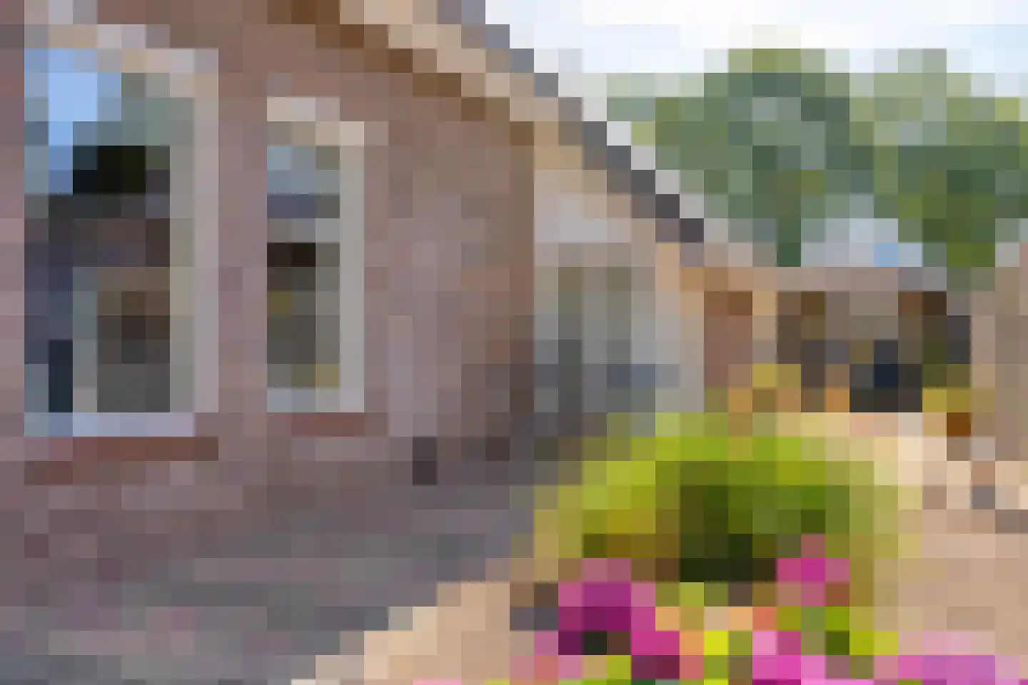 Meulakkers 11 Diever thumbnail 67