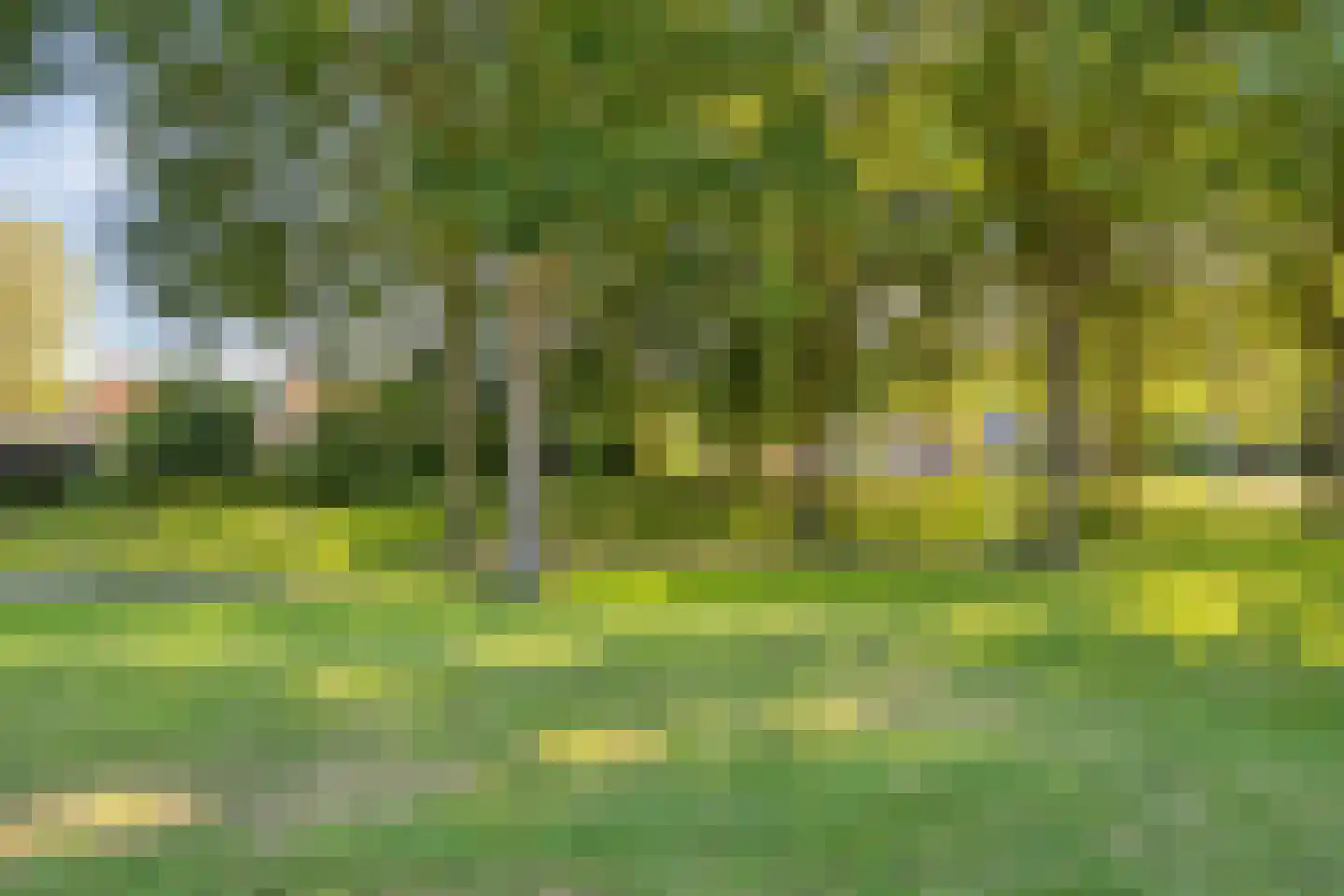 Meulakkers 11 Diever thumbnail 71