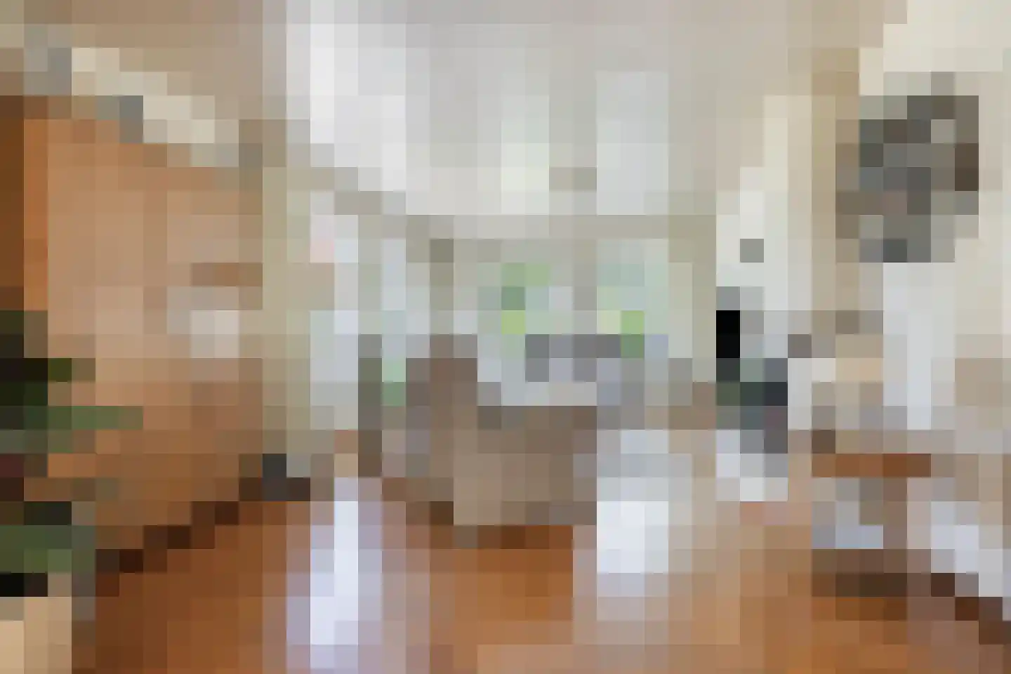 Meulakkers 11 Diever thumbnail 8