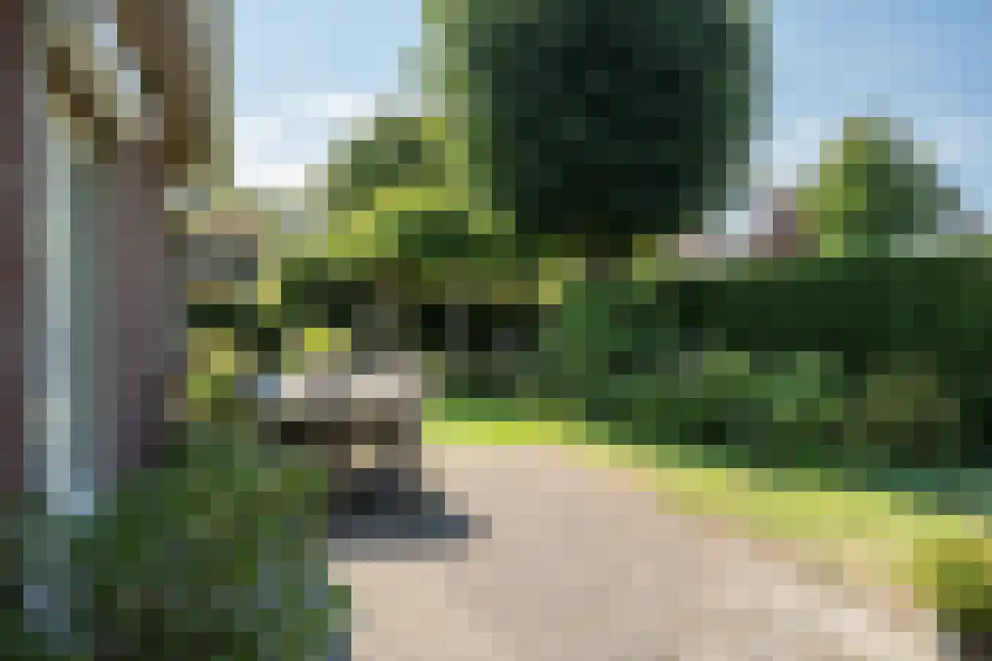 Meuleberg 33 Beesel thumbnail 19