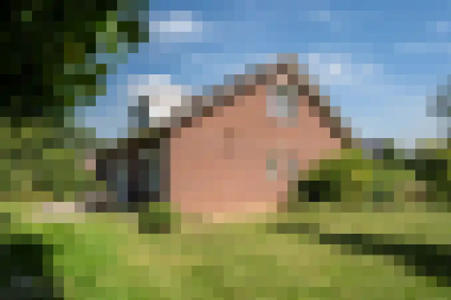 Meuleberg 33 Beesel thumbnail 23