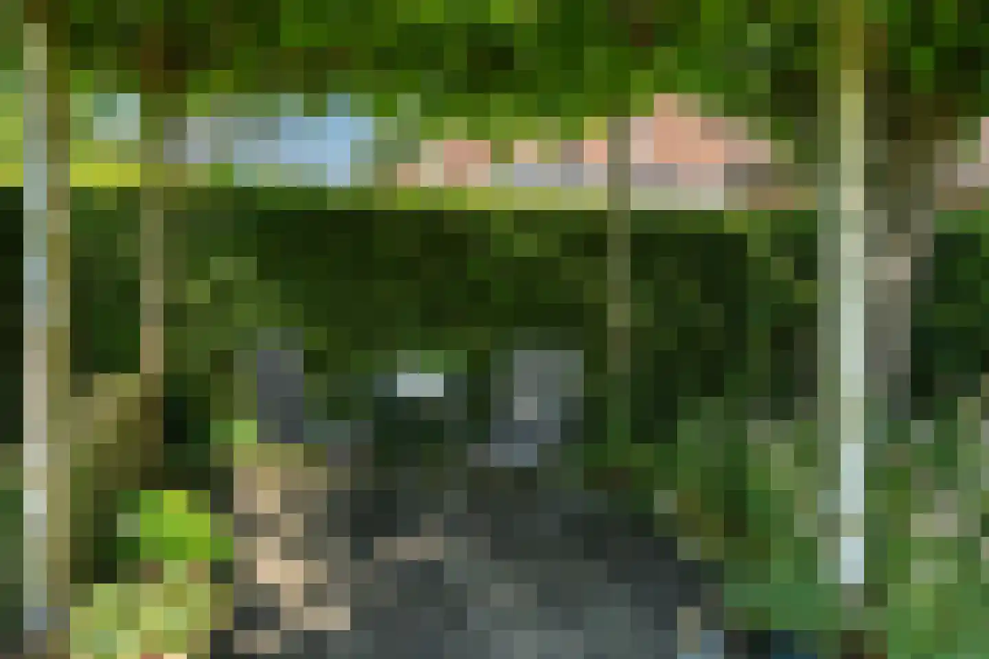 Meuleberg 33 Beesel thumbnail 29