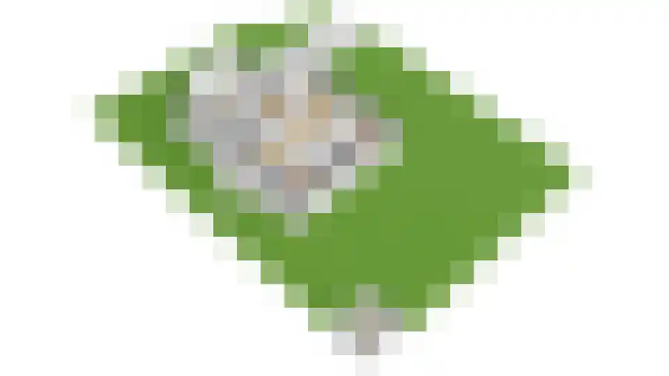 Meuleberg 33 Beesel thumbnail 67