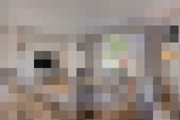 Meuleberg 41 Beesel thumbnail 10