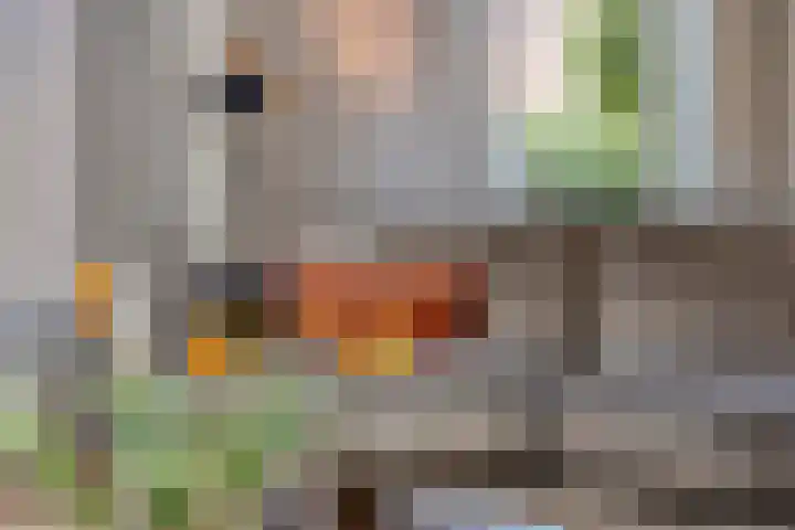Meuleberg 41 Beesel thumbnail 13