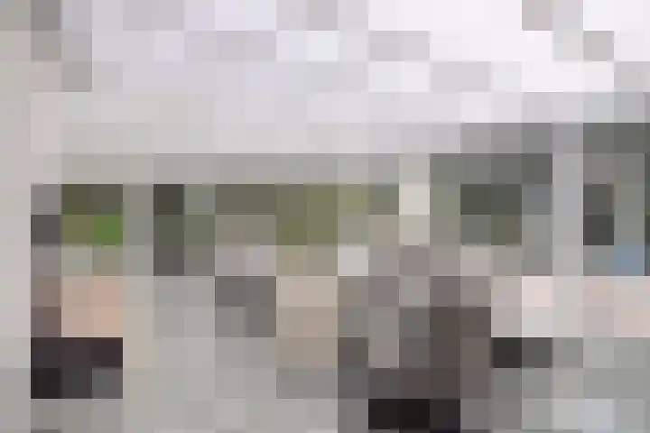 Meuleberg 41 Beesel thumbnail 22