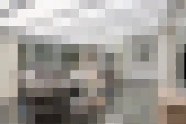 Meuleberg 41 Beesel thumbnail 23