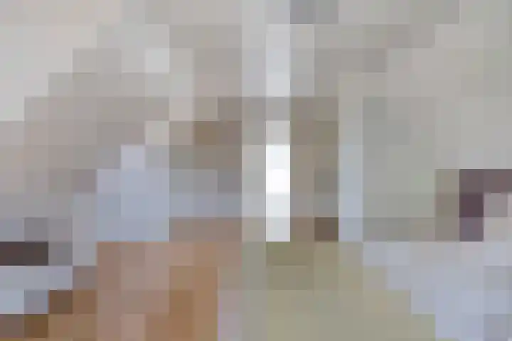Meuleberg 41 Beesel thumbnail 32