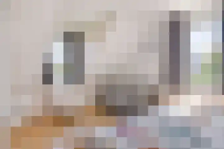 Meuleberg 41 Beesel thumbnail 37
