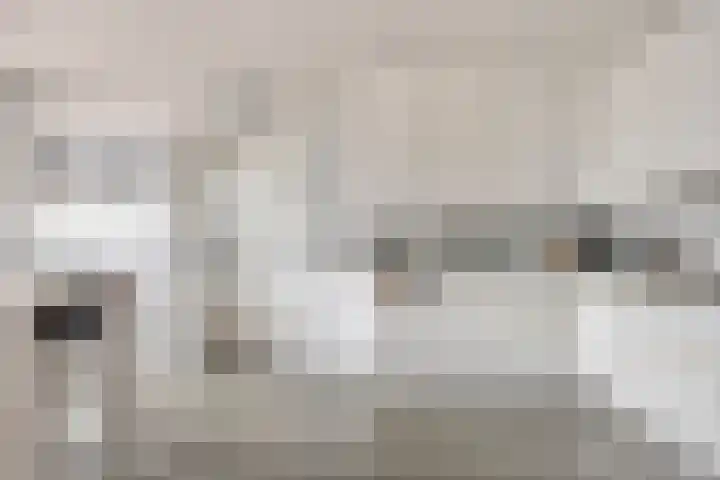 Meuleberg 41 Beesel thumbnail 4