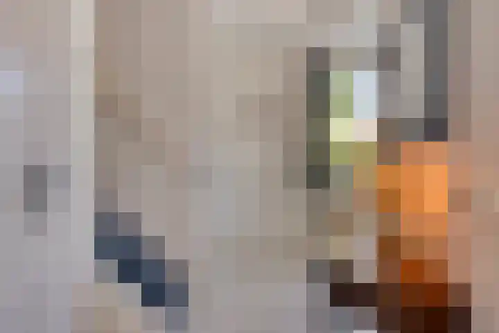 Meuleberg 41 Beesel thumbnail 7