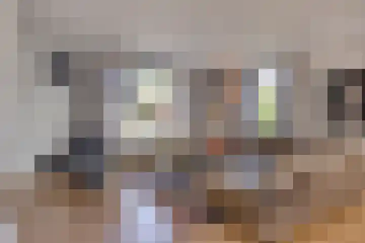 Meuleberg 41 Beesel thumbnail 9