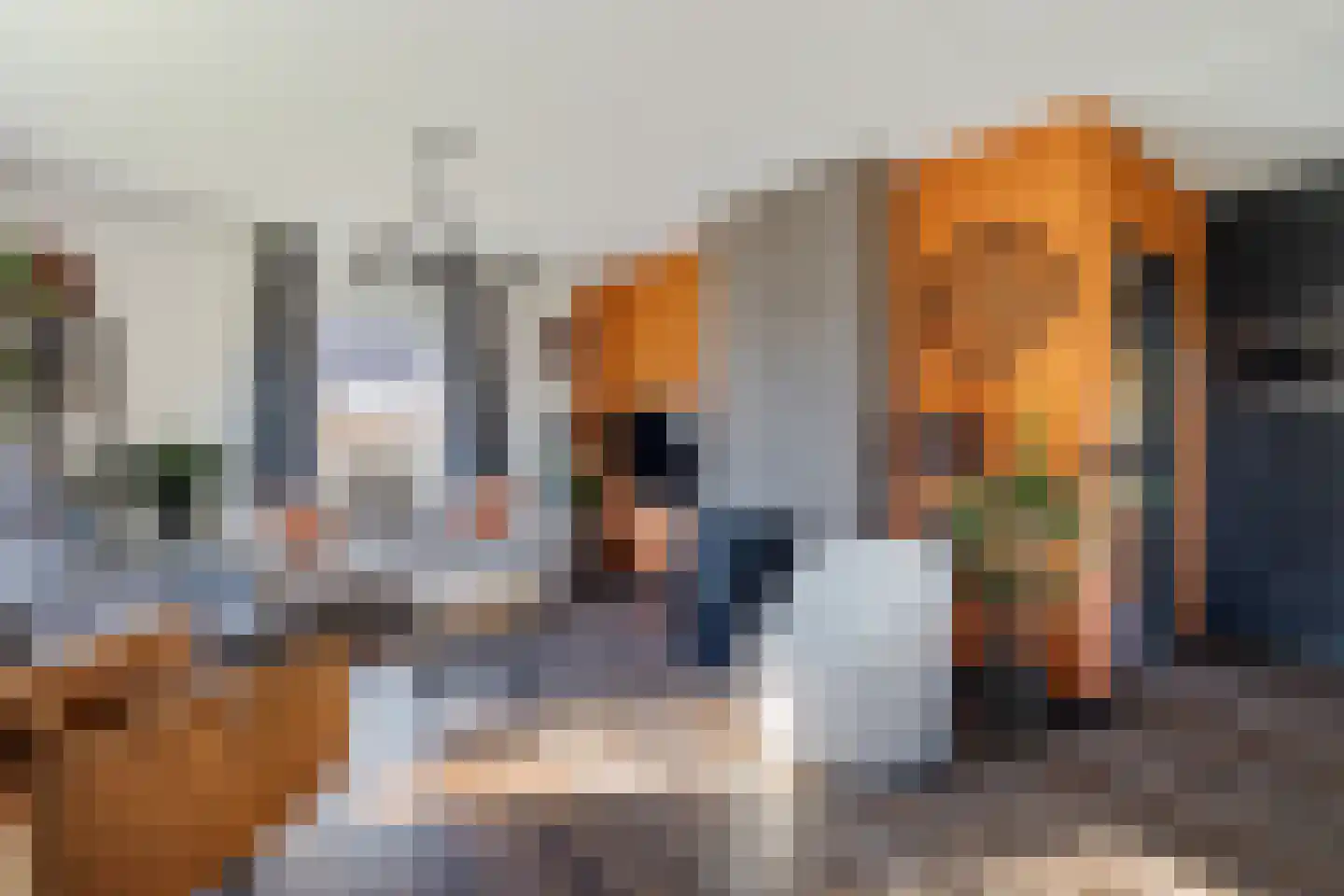 Meulekaamp 3 Ansen thumbnail 12
