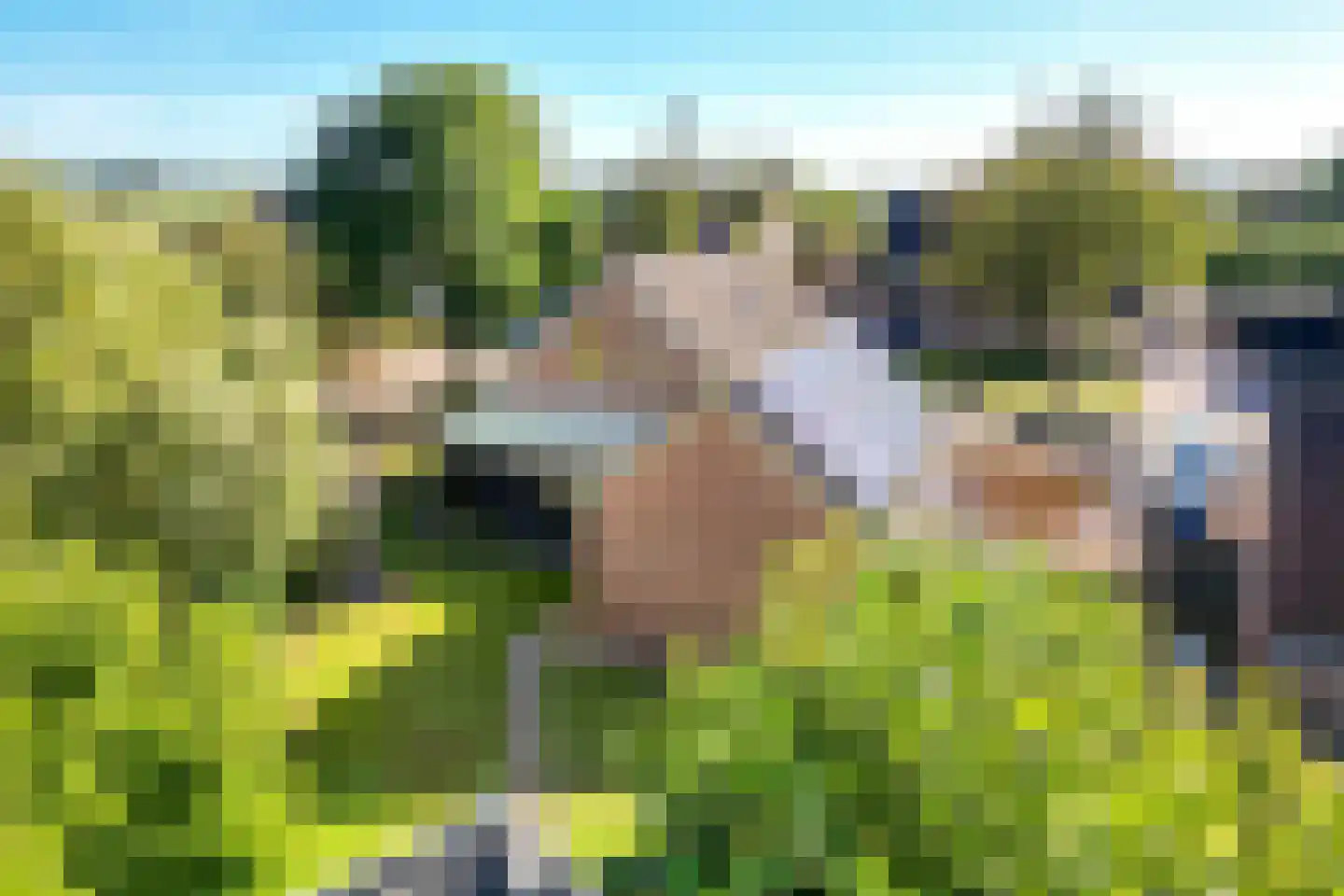Meulekaamp 3 Ansen foto 3