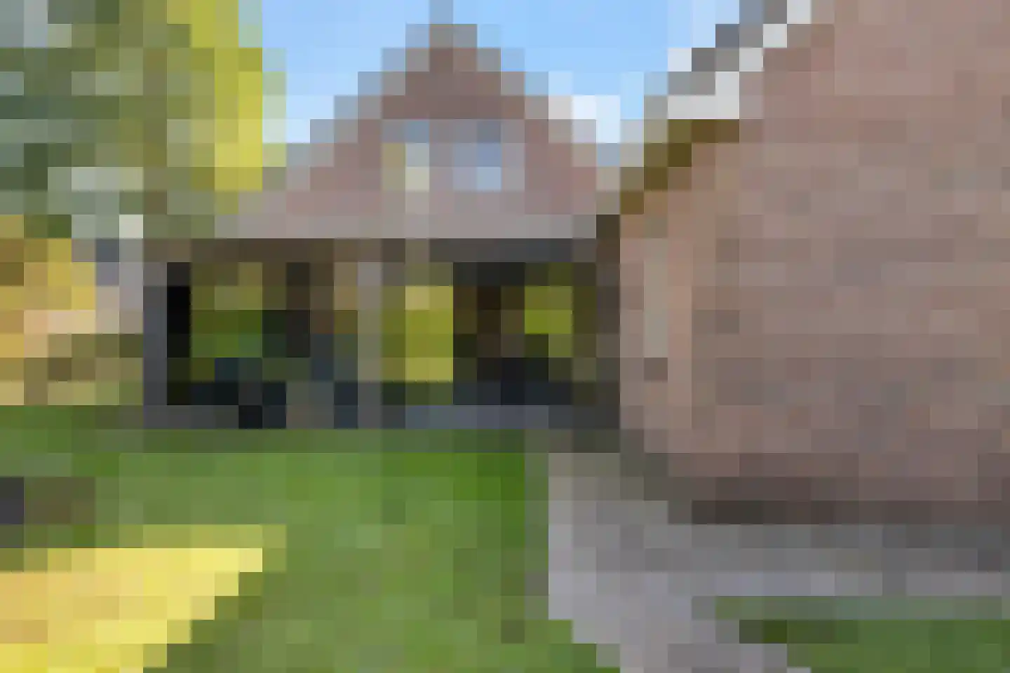 Meulekaamp 3 Ansen thumbnail 34