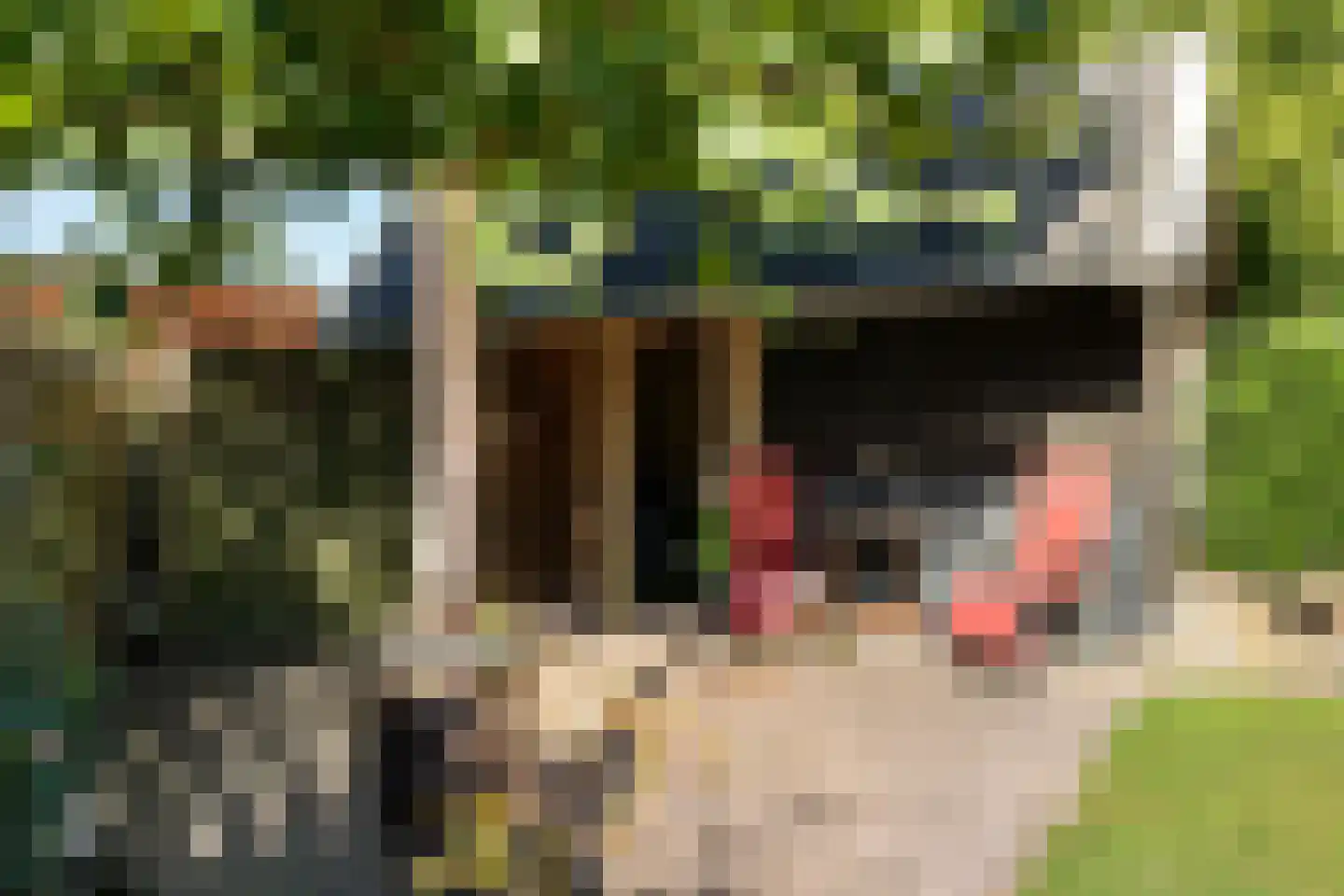 Meulekaamp 3 Ansen thumbnail 38