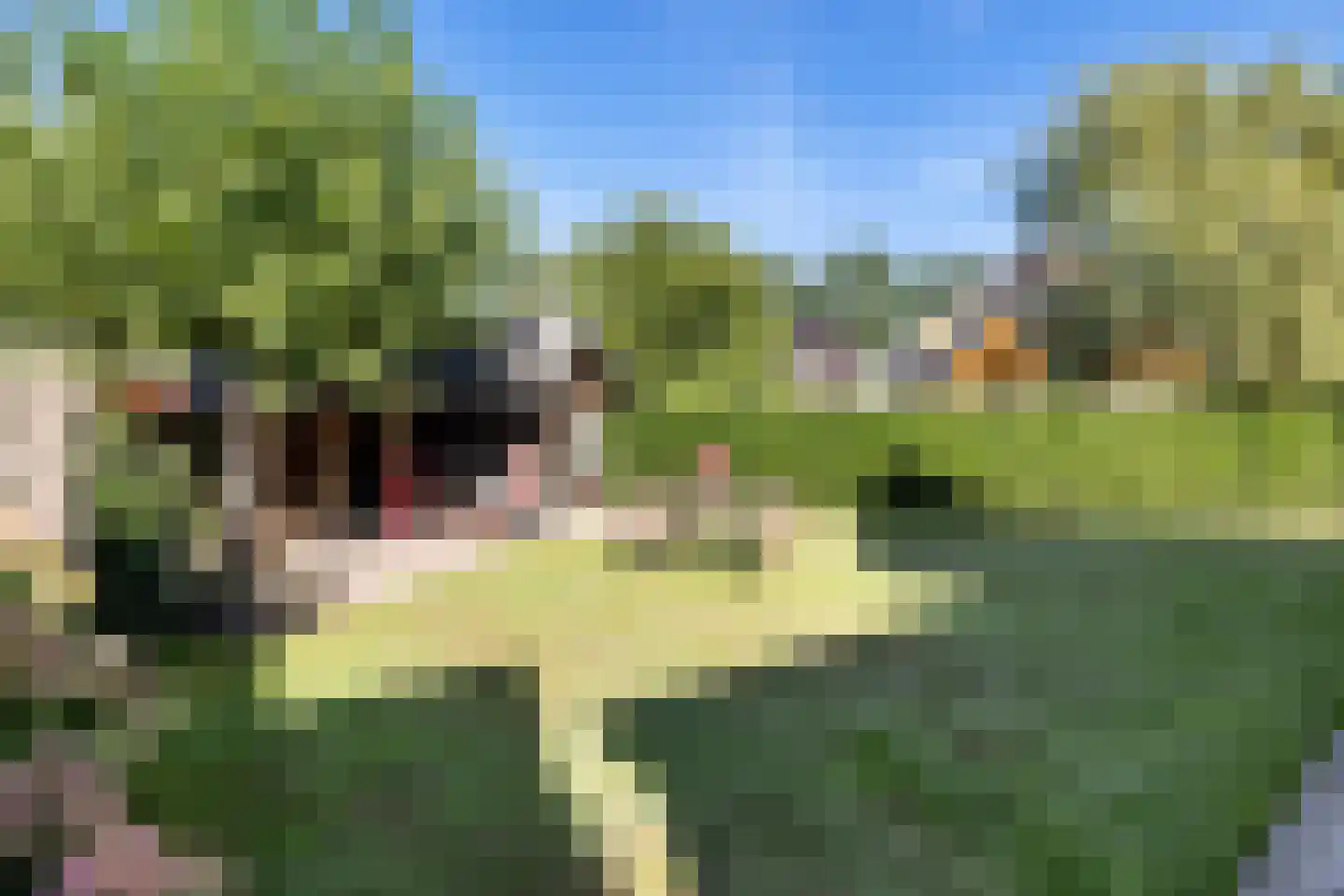 Meulekaamp 3 Ansen thumbnail 39