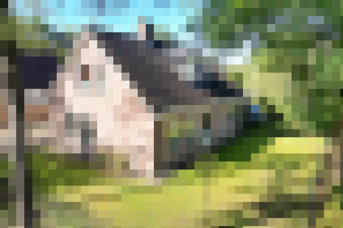 Meulekaamp 3 Ansen thumbnail 5